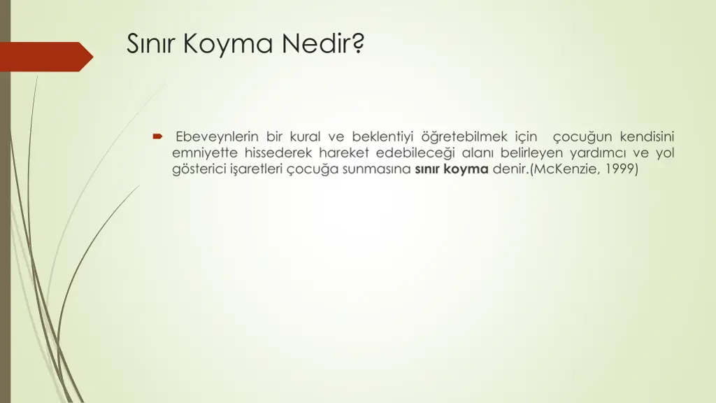 s n r koyma nedir