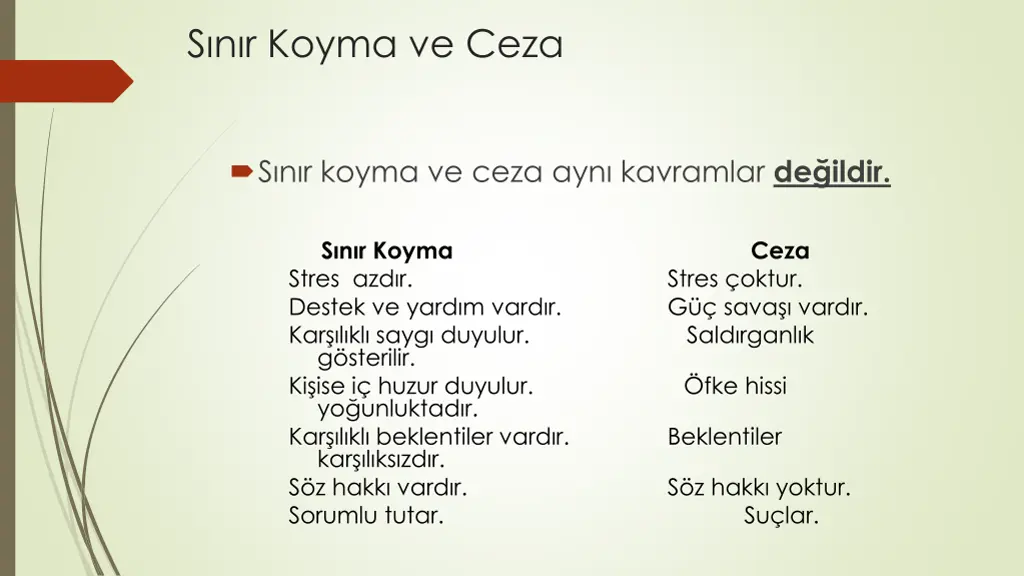 s n r koyma ve ceza