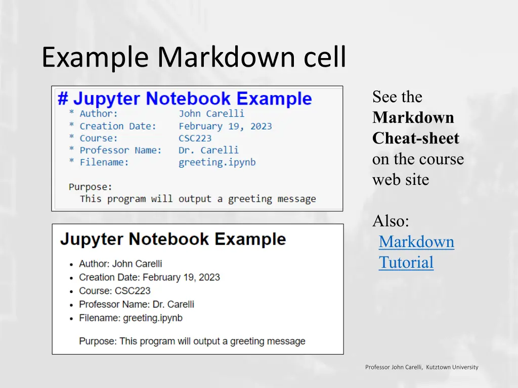 example markdown cell