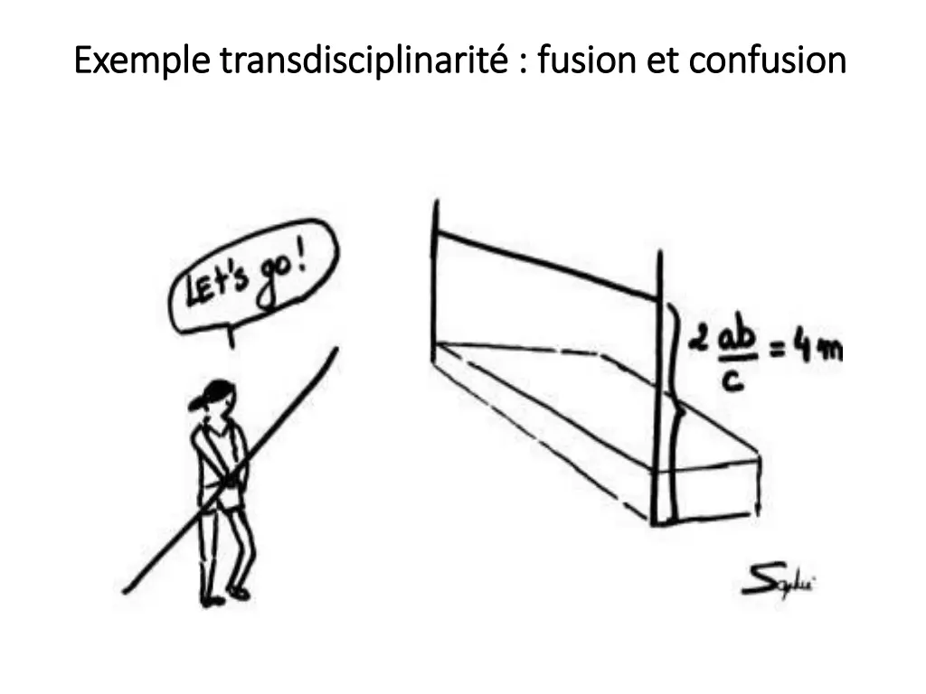 exemple transdisciplinarit fusion et confusion