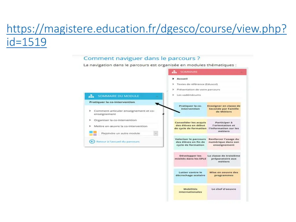 https magistere education fr dgesco course view