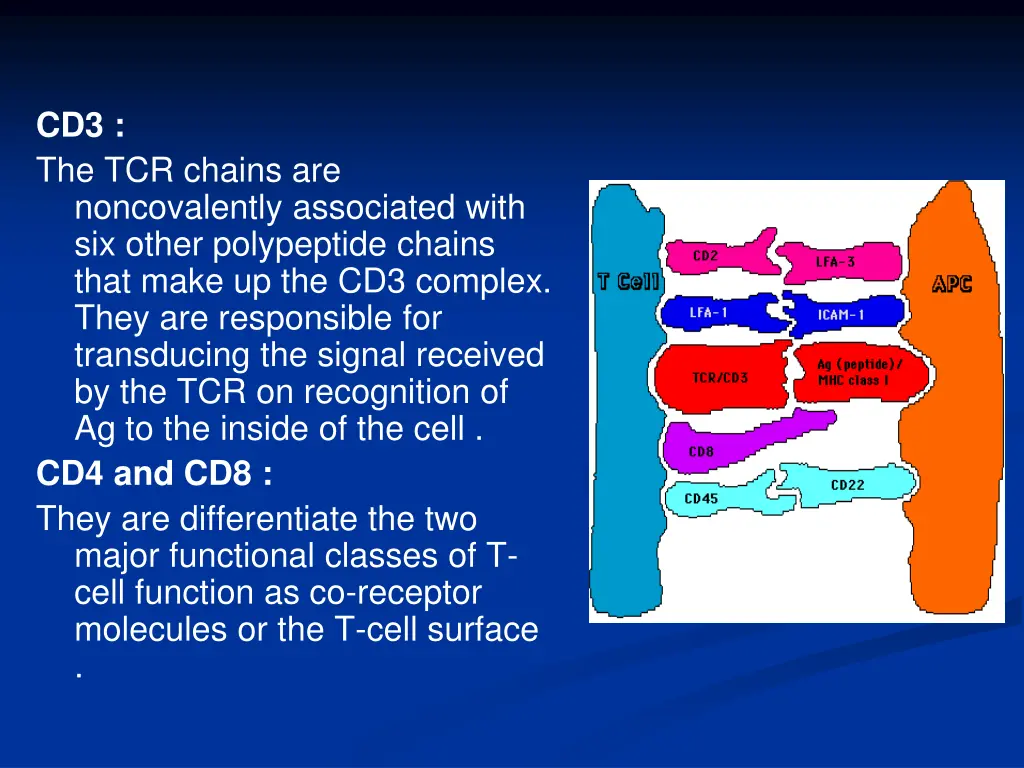cd3 the tcr chains are noncovalently associated