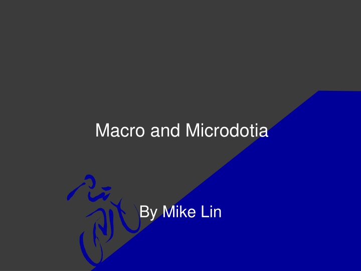 macro and microdotia