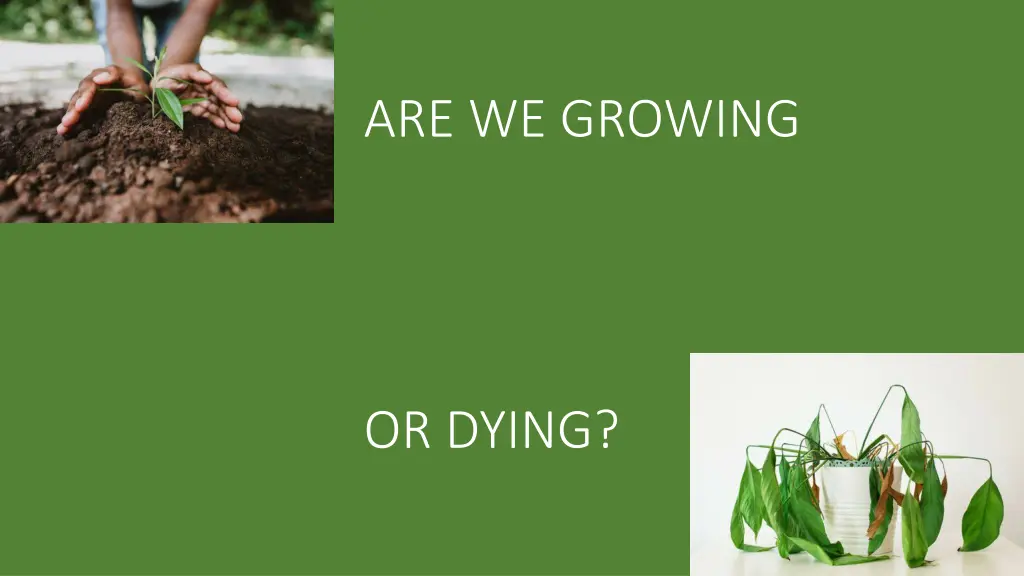are we growing 1