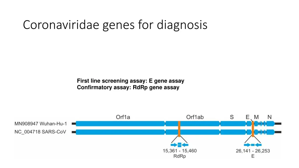 coronaviridae genes for diagnosis