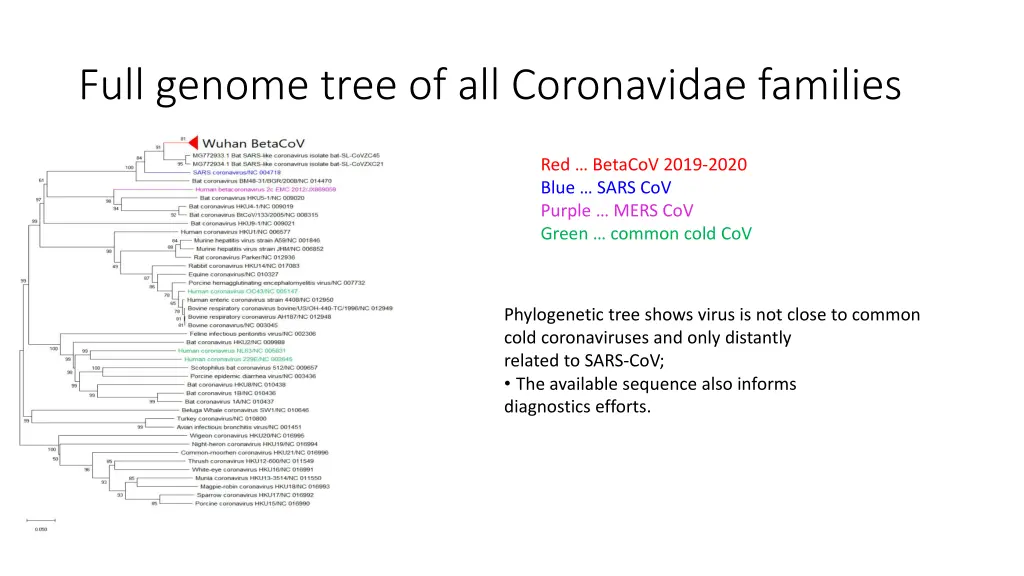 full genome tree of all coronavidae families