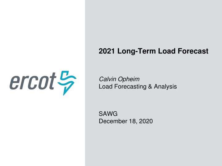 2021 long term load forecast