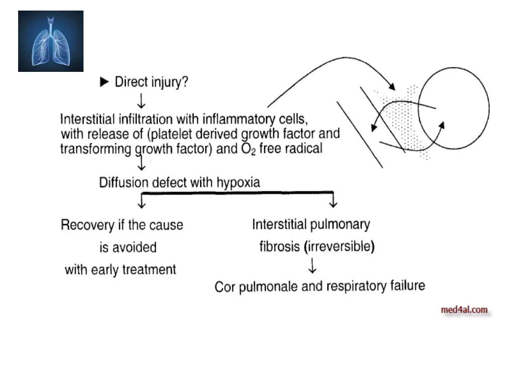 slide8
