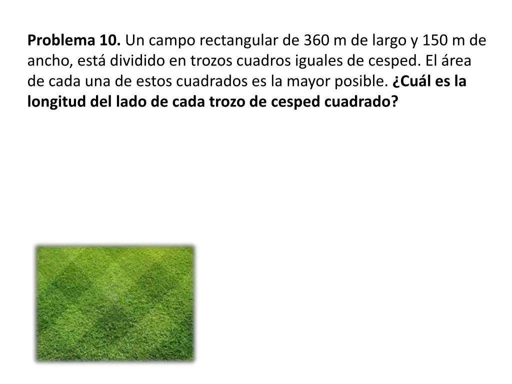 problema 10 un campo rectangular
