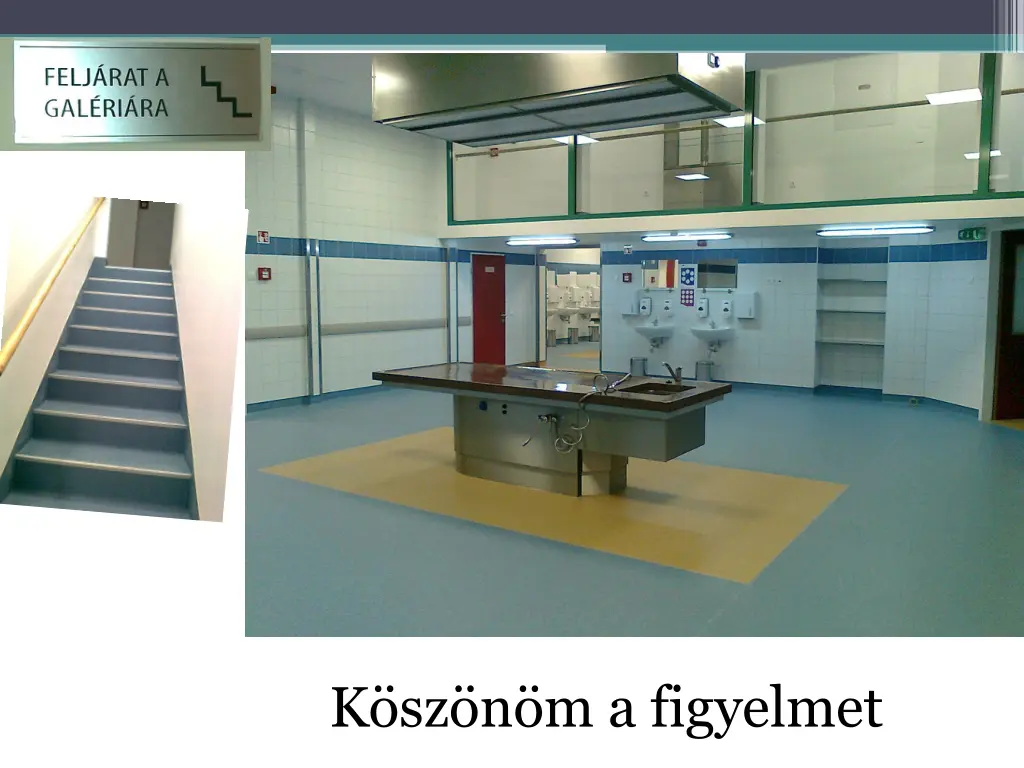 k sz n m a figyelmet