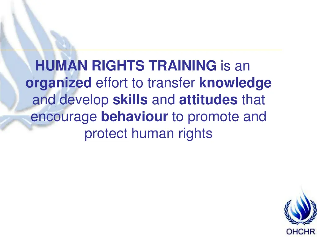 human rights training is an organized effort