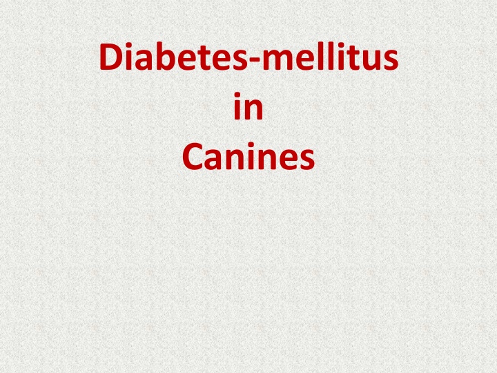 diabetes mellitus in canines