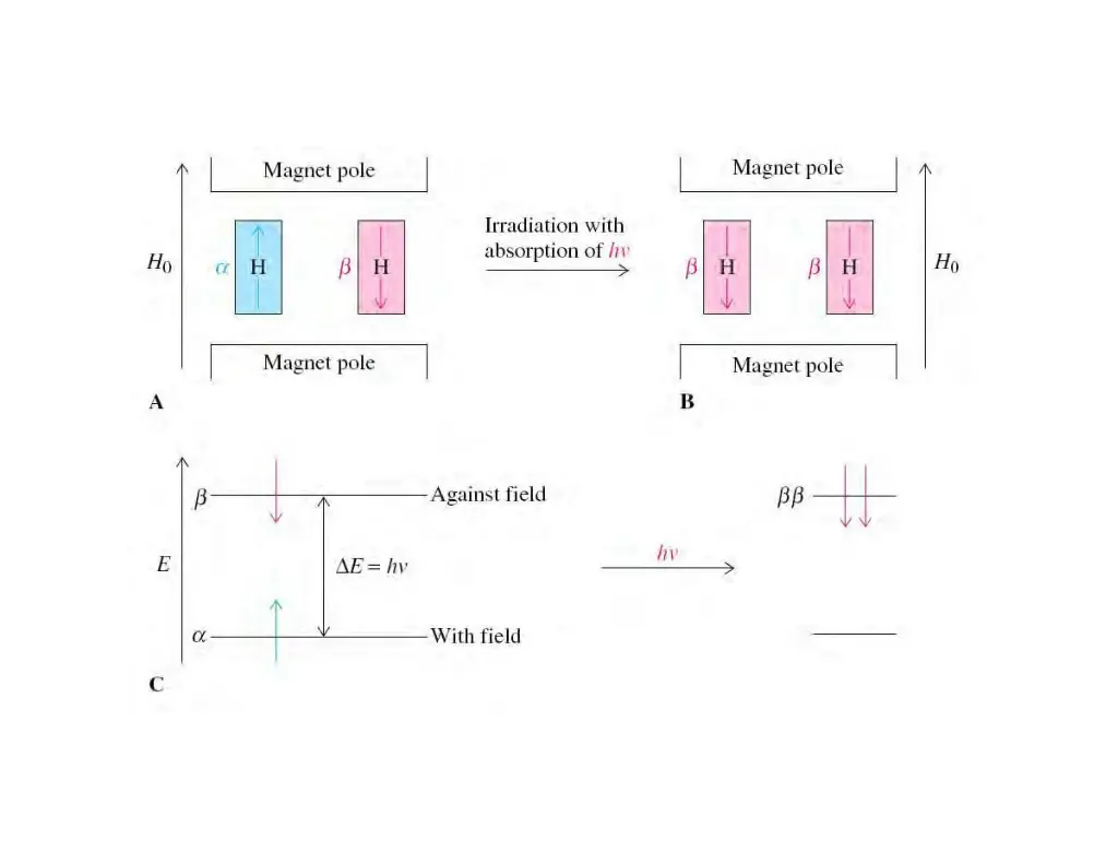 slide4