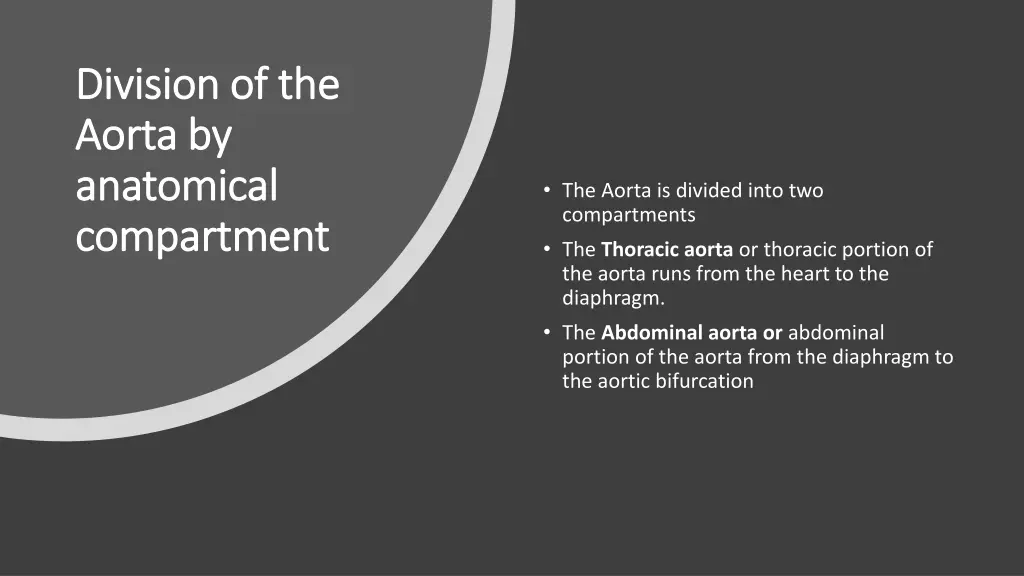 division of the division of the aorta by aorta