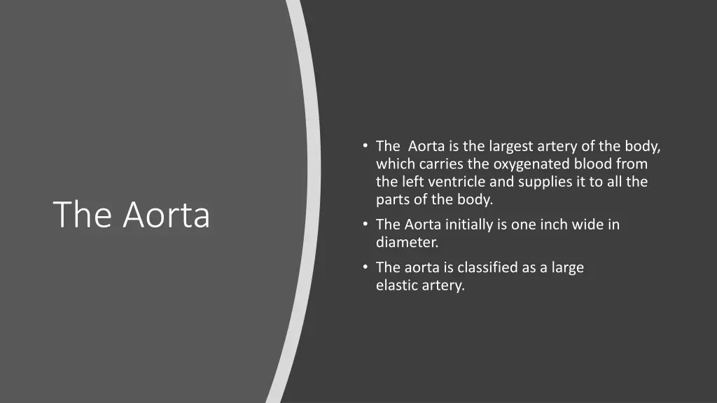 the aorta is the largest artery of the body which