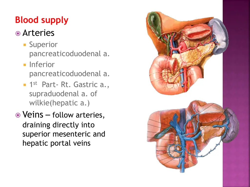 blood supply arteries superior