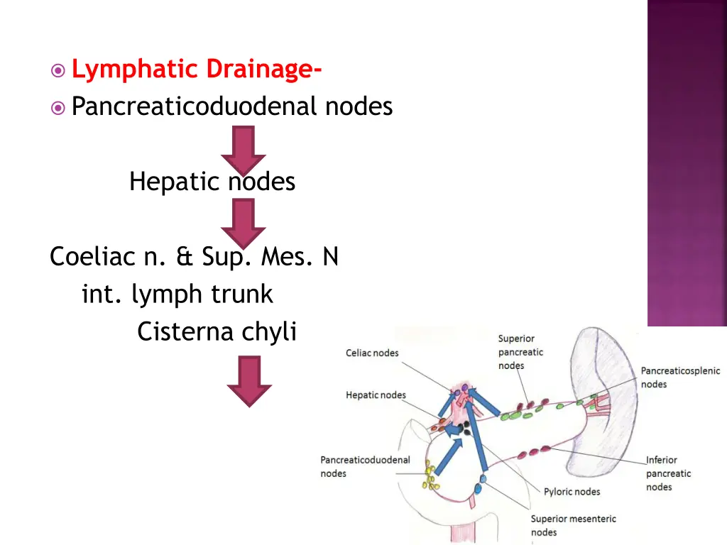 lymphatic drainage pancreaticoduodenal nodes