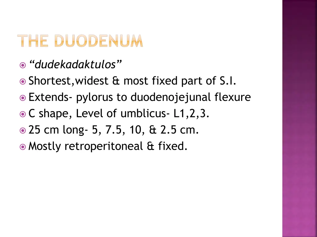 the duodenum 1