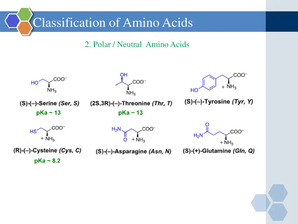 classification of amino acids 2