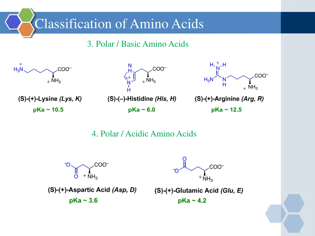 classification of amino acids 3
