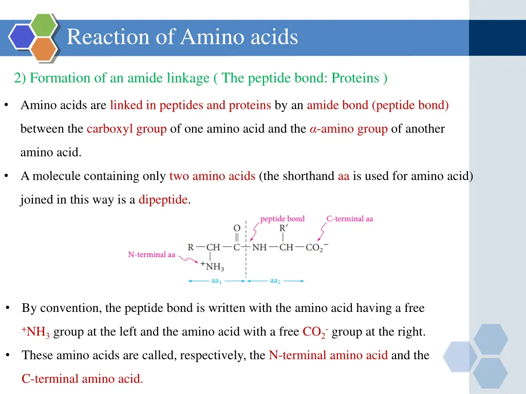 reaction of amino acids 1