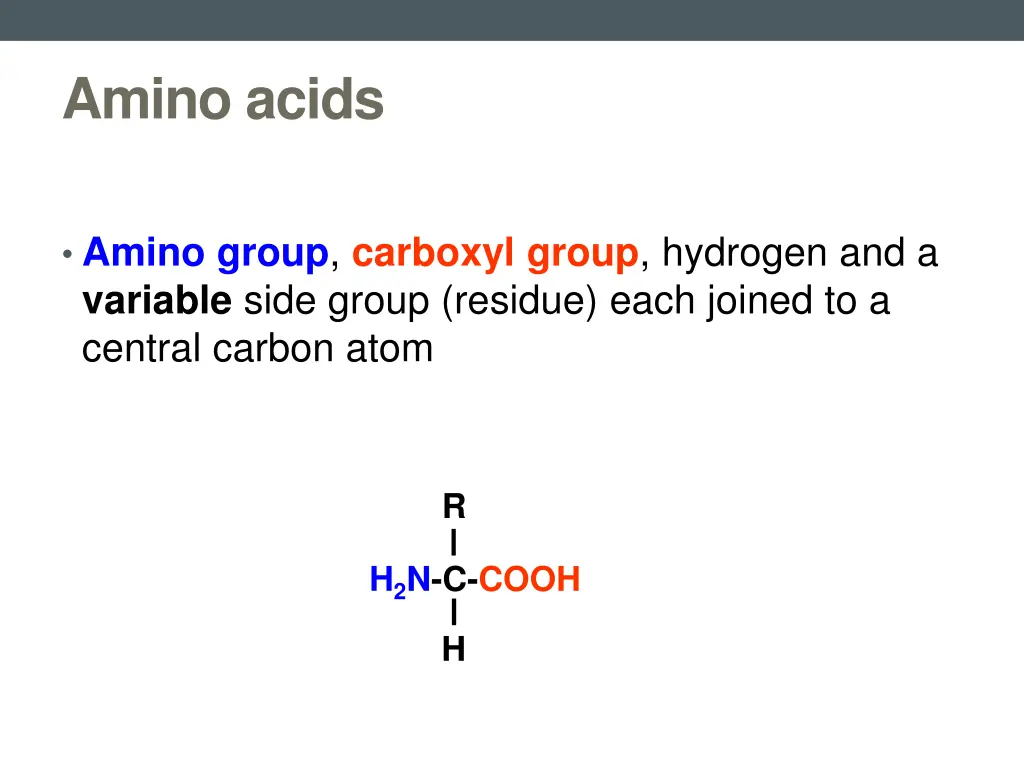 amino acids