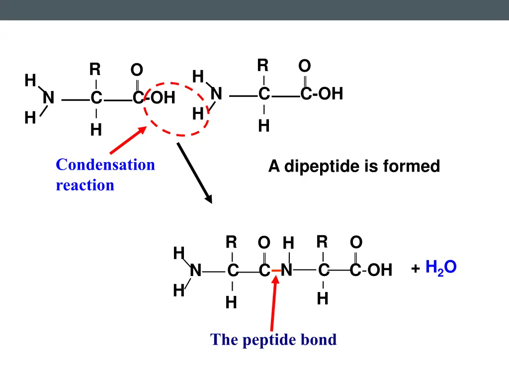 slide6