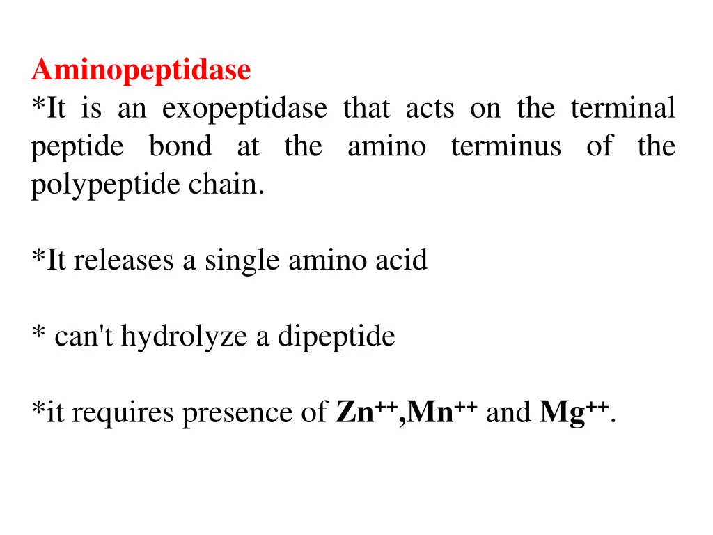 aminopeptidase it is an exopeptidase that acts