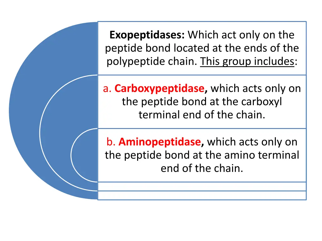 exopeptidases which act only on the peptide bond