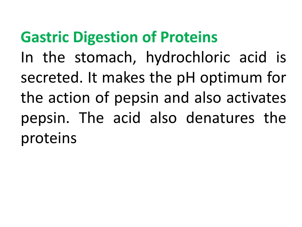 gastric digestion of proteins in the stomach