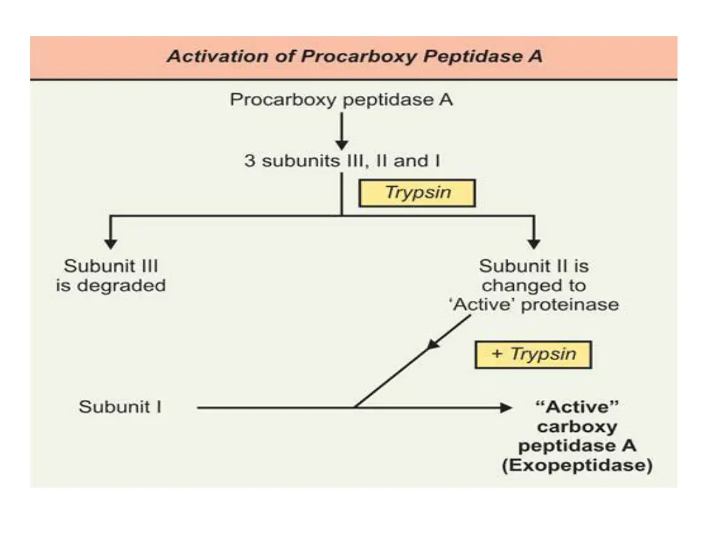 slide22