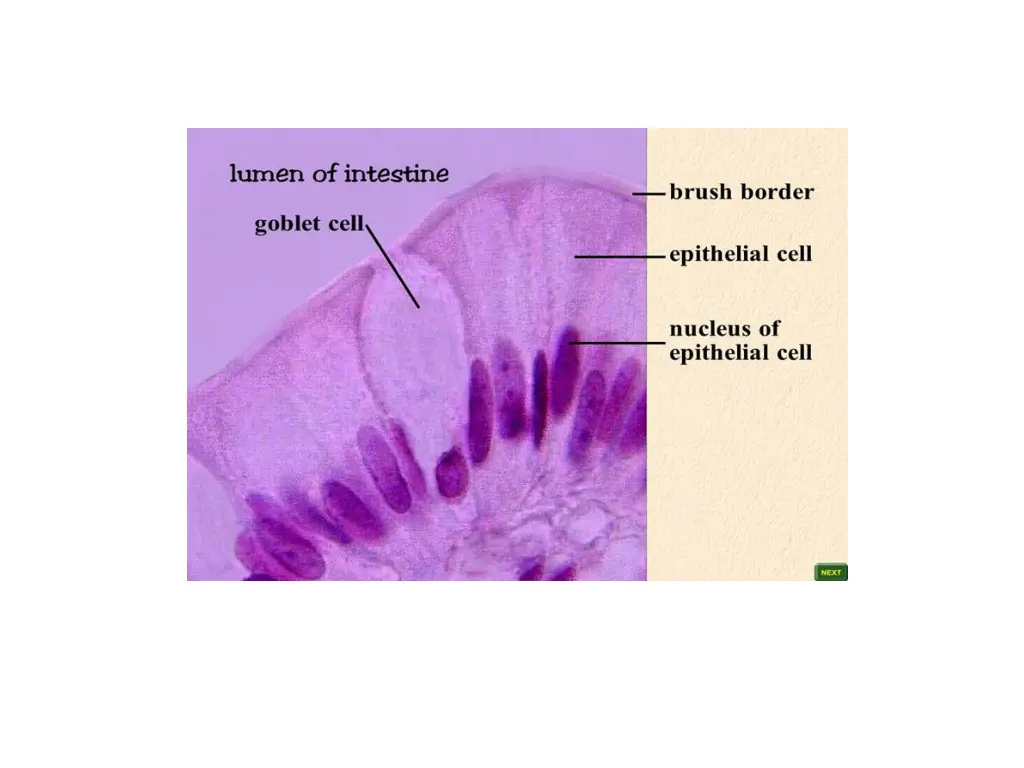 slide27