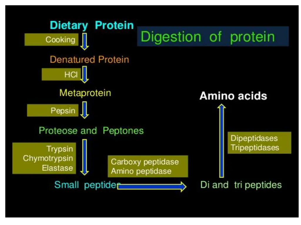 slide28