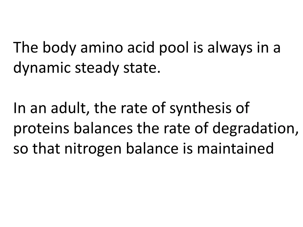 the body amino acid pool is always in a dynamic