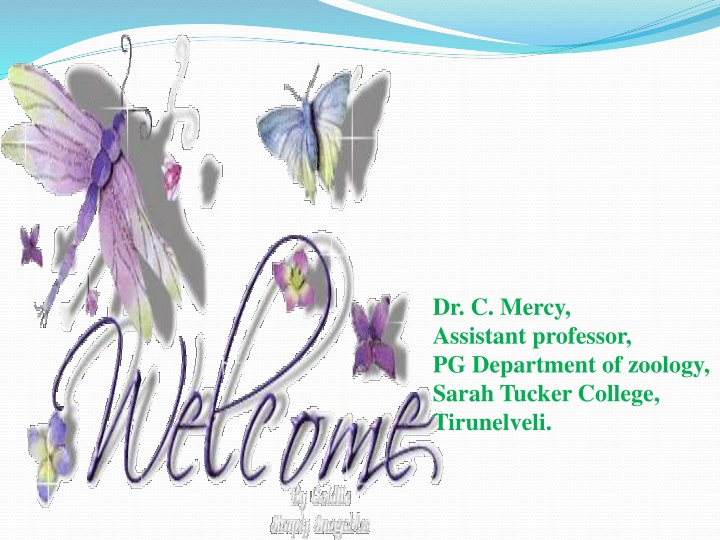 dr c mercy assistant professor pg department