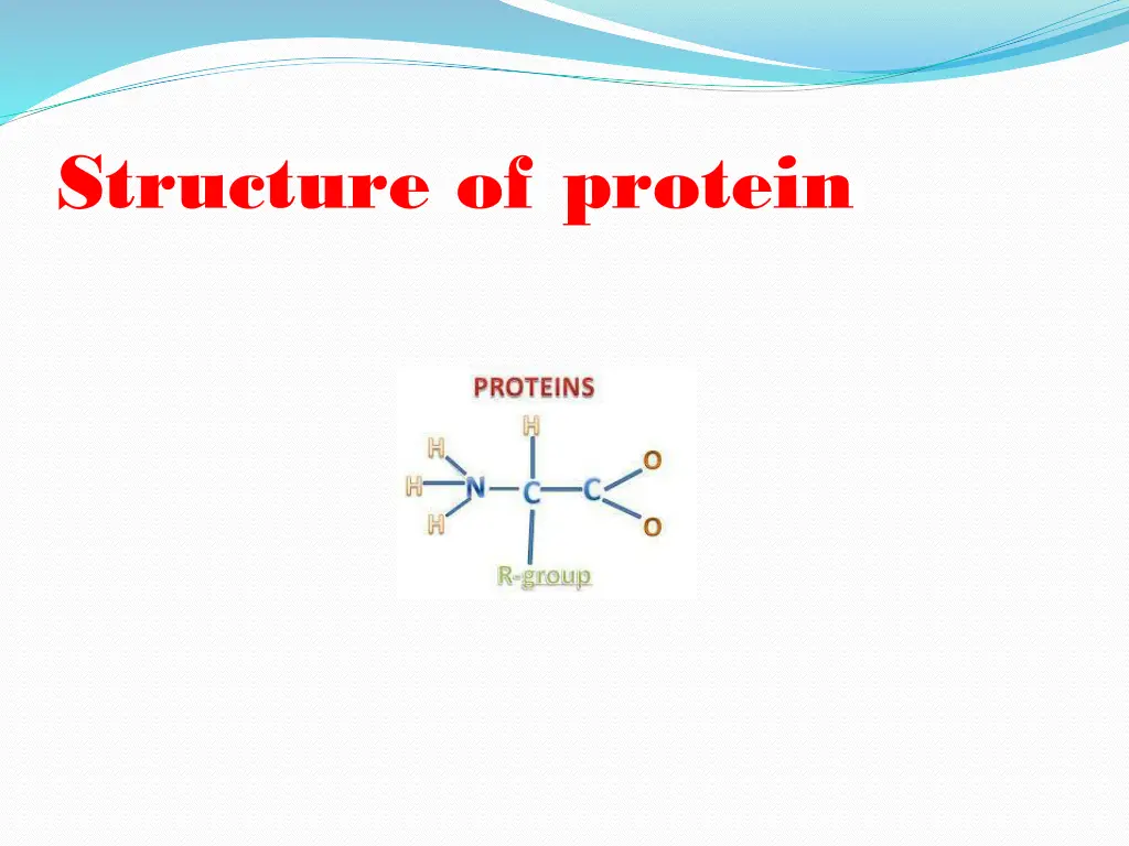 structure of protein