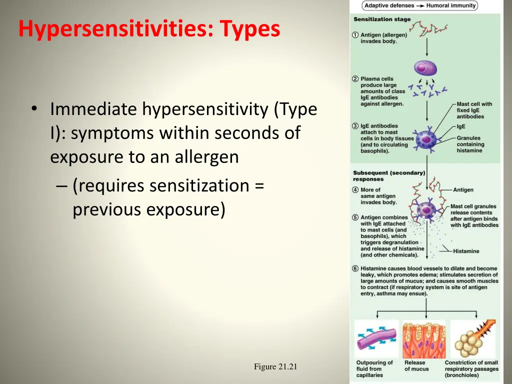 hypersensitivities types
