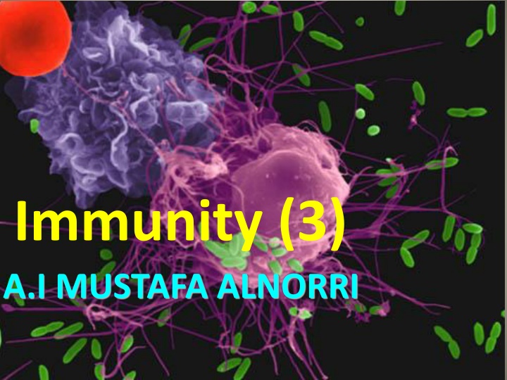 immunity 3 a i mustafa alnorri