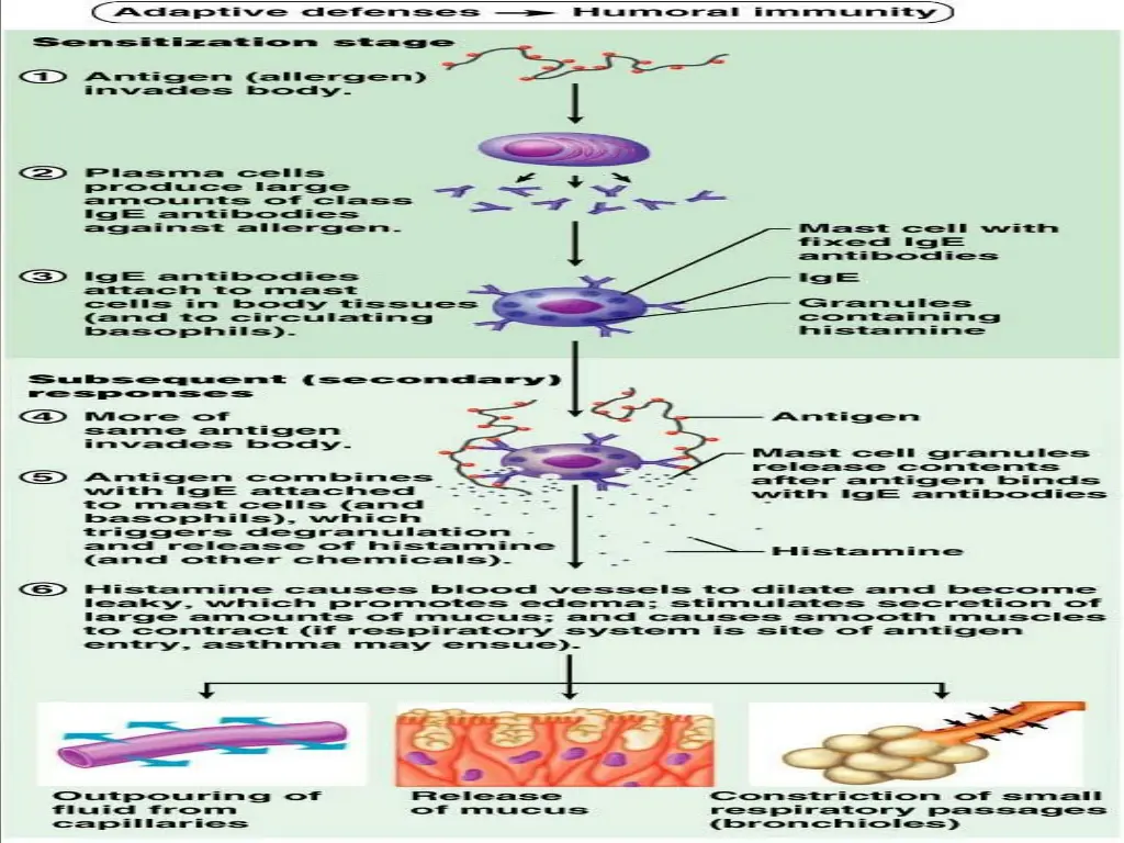 slide26