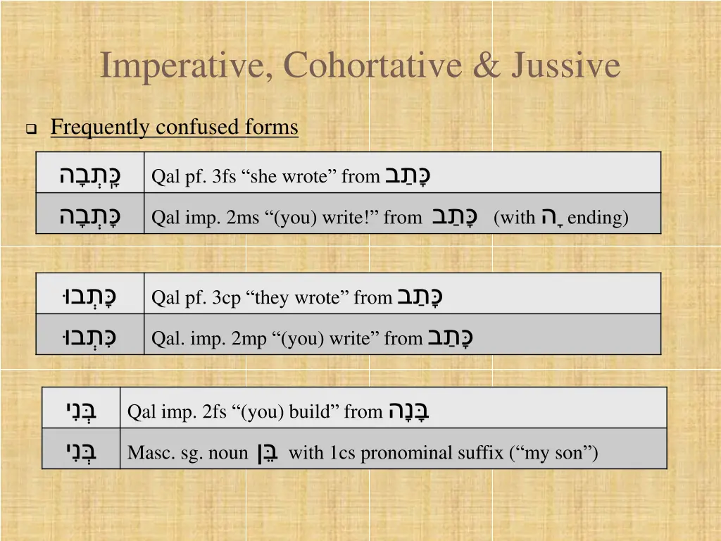 imperative cohortative jussive 8