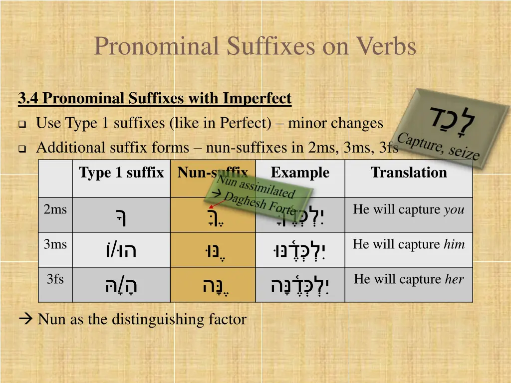 pronominal suffixes on verbs 6