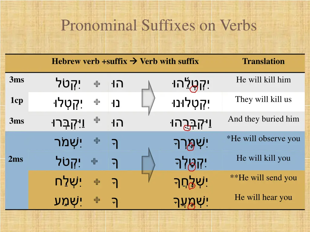 pronominal suffixes on verbs 8