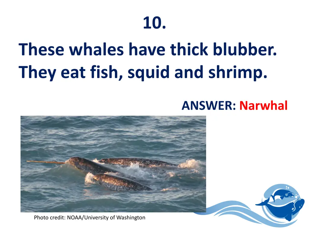 slide11