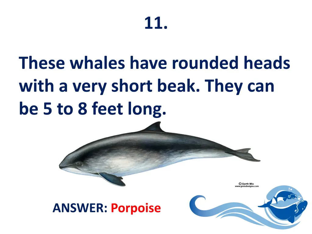 slide12