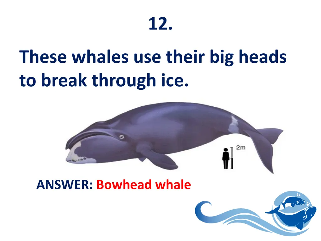 slide13