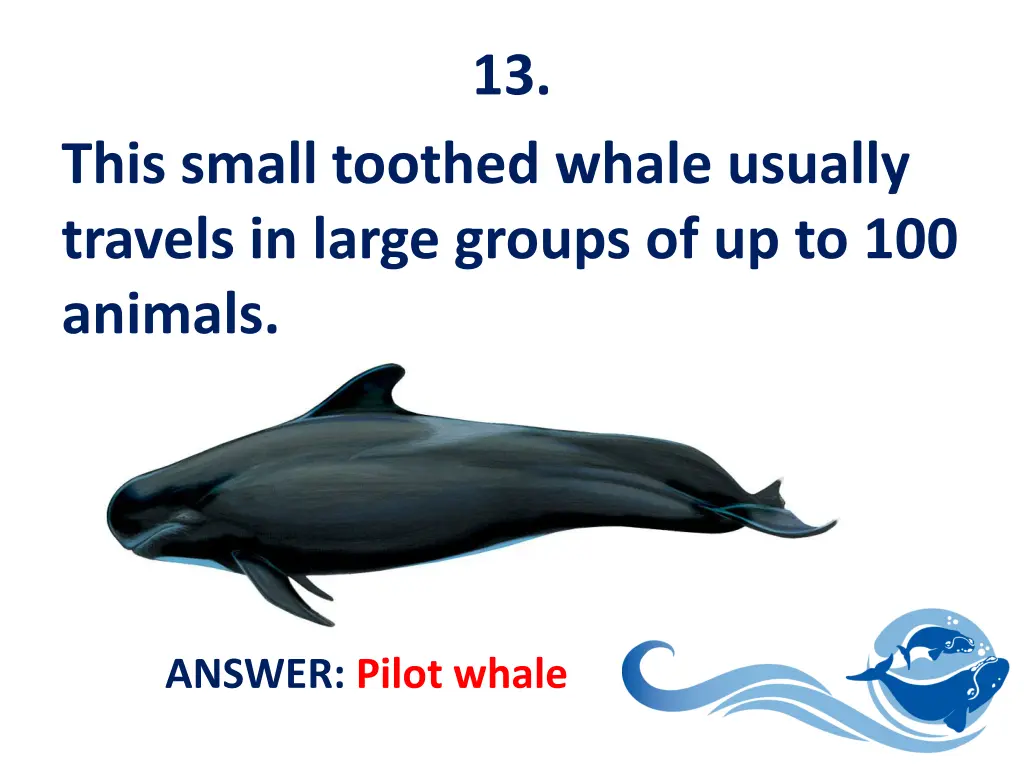 slide14
