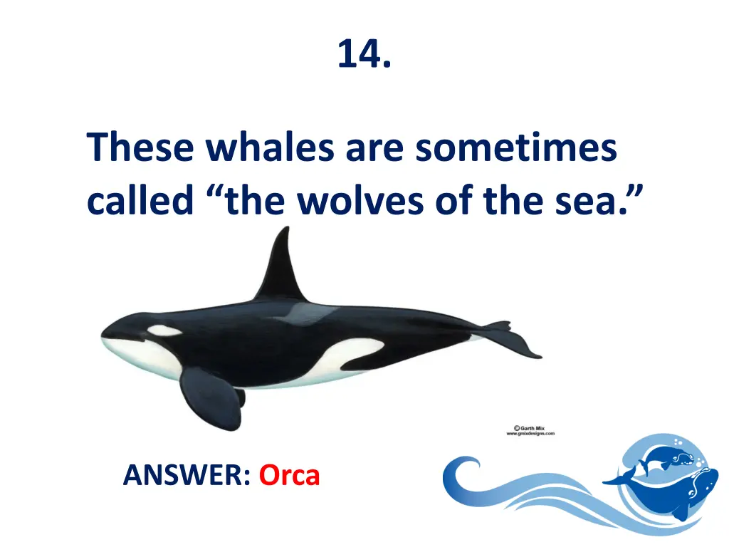 slide15