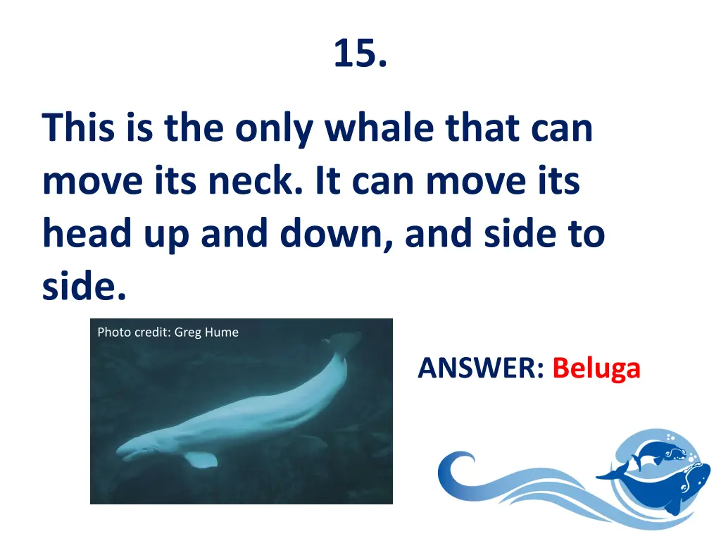 slide16