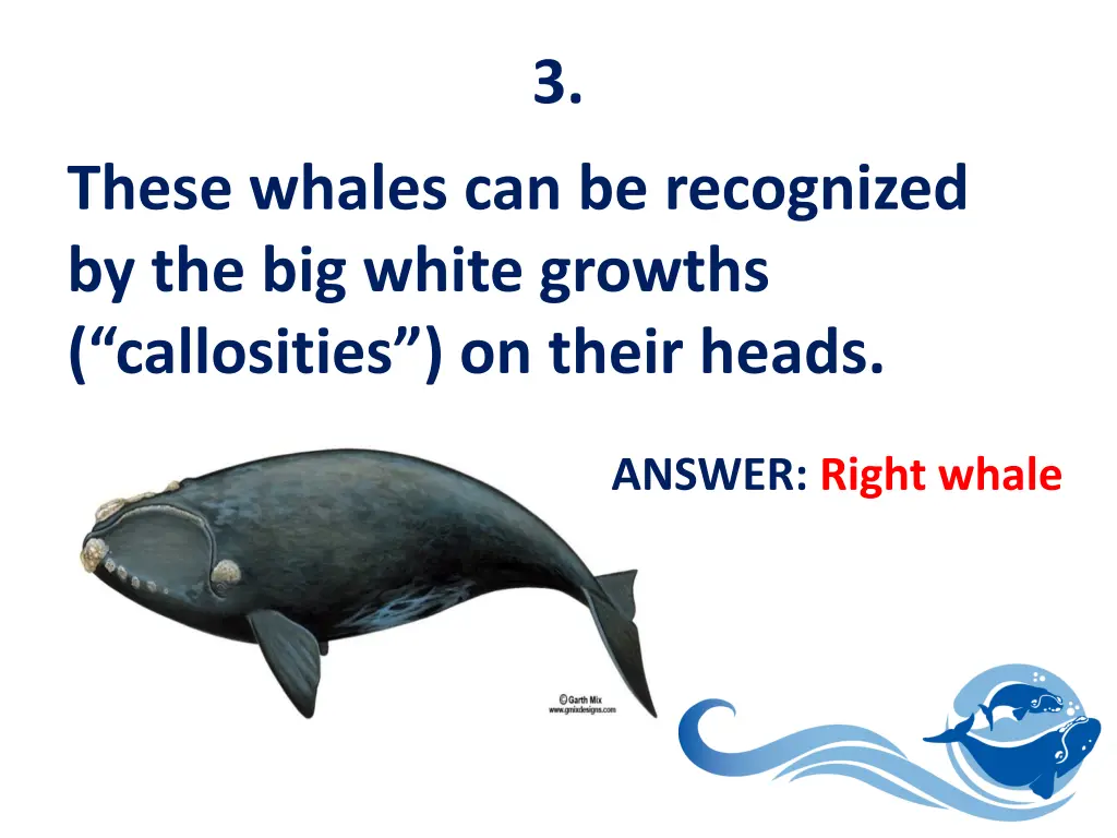 slide4