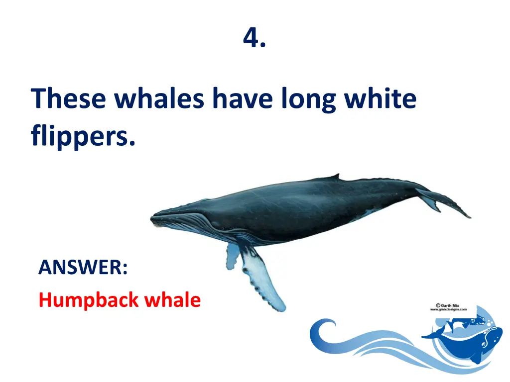 slide5